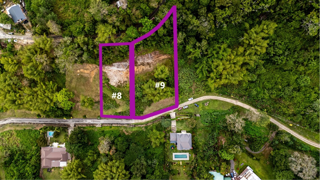 Las Hermanas Estate, Redwood Forest Development, Upper Santa Cruz