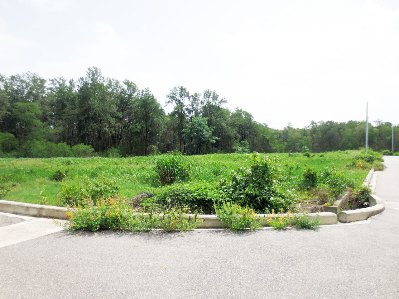 Pond Road Extension, Aripero