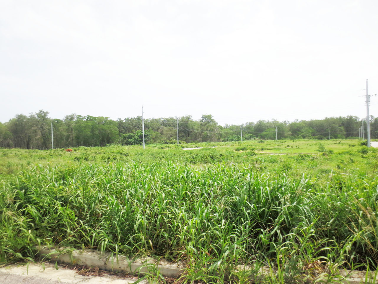 Pond Road Extension, Aripero