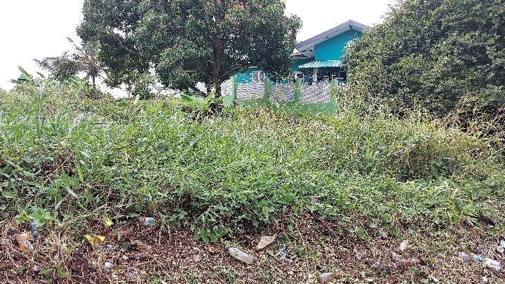 Tarouba Road, Marabella