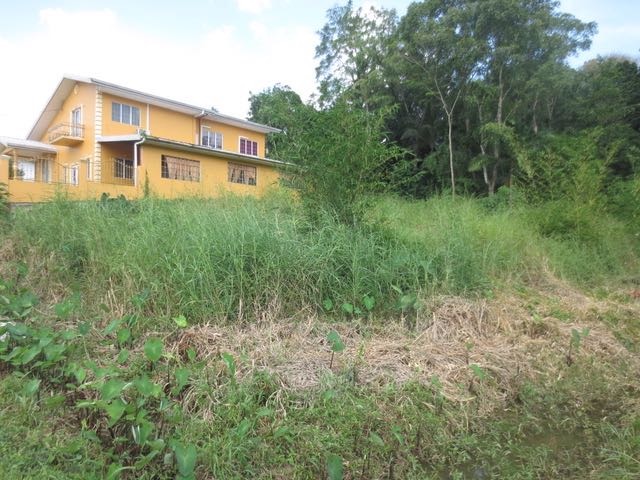 Anderson Drive, Duff Road, Hard Bargain, Williamsville