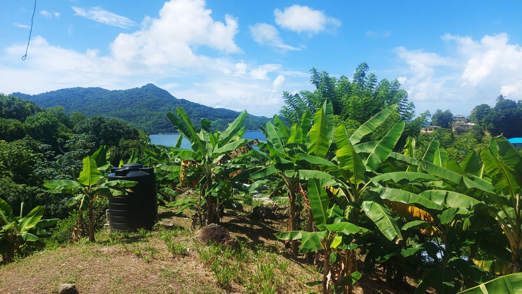 Speyside, Tobago