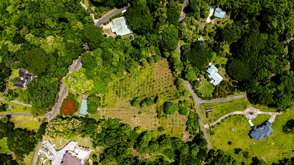 San Pedro Estate, Tortuga, Gran Couva