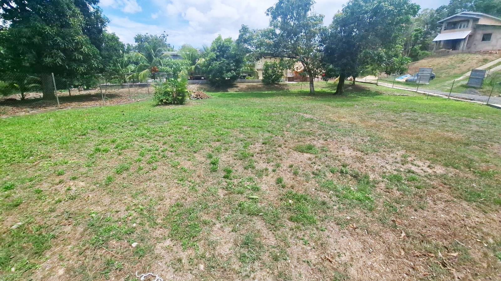 Cedar Hill Road (Durity Lane), Claxton Bay