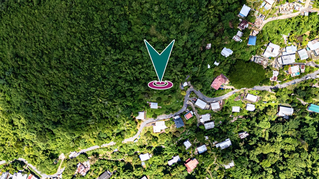 Ariapita Road, St Anns