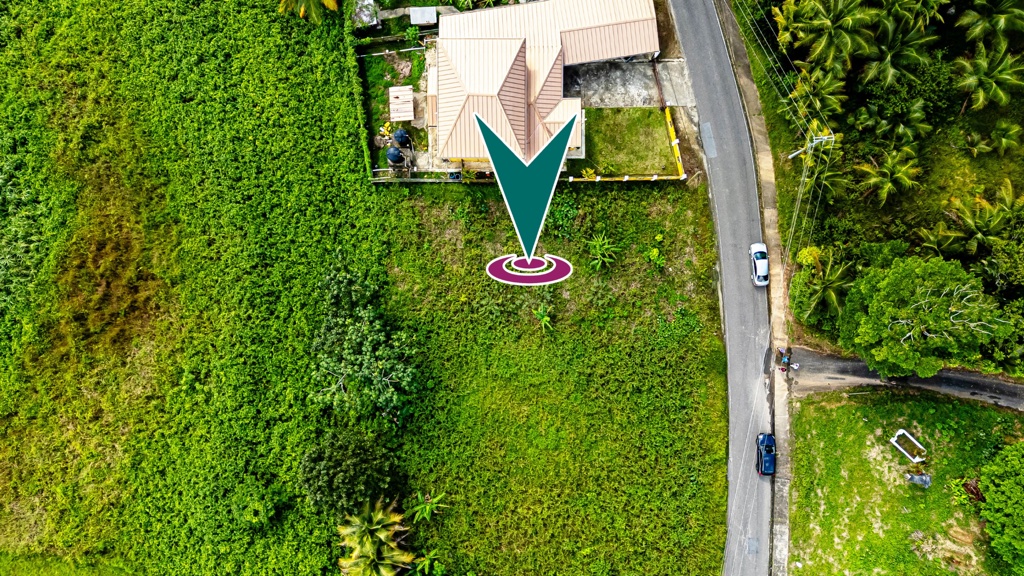 Guaico Tamana Road, Cunaripo