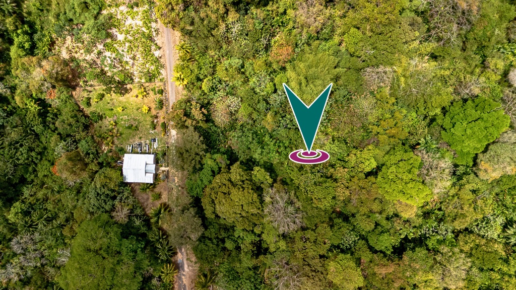 Anthony Trace, Off Eastern Main Road, Manzanilla